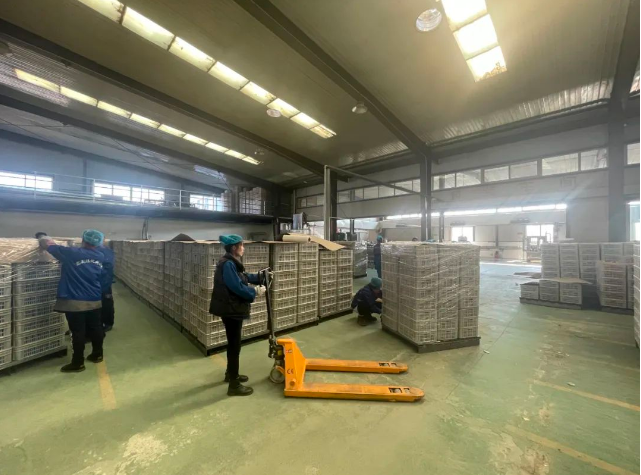 巾幗典型展風(fēng)采 砥礪奮進(jìn)新征程 | 閆寶潔 執(zhí)著創(chuàng)業(yè)路 鏗鏘玫瑰綻芳華